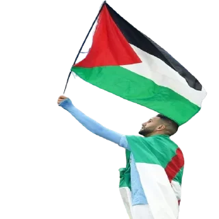🇵🇸