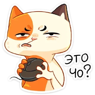 😤