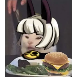 😾
