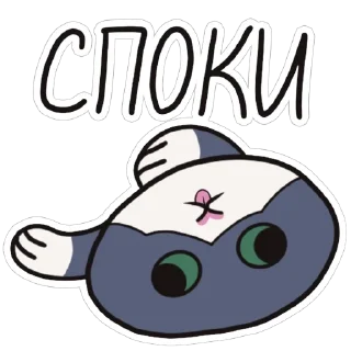 😴