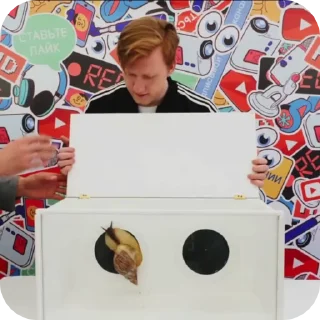 🌟