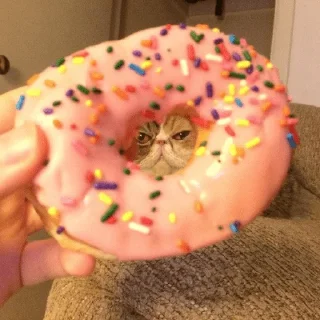 🍩