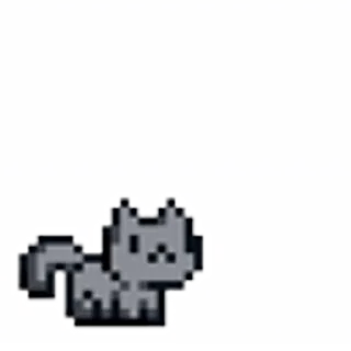 🐈‍⬛
