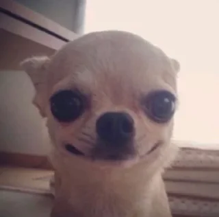 🙂