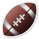 🏈