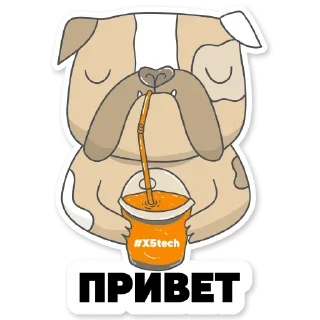 Geekcat @stickersb2b