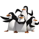 🐧