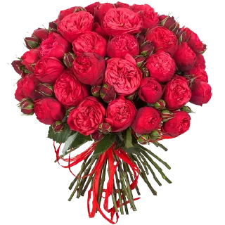 🌹