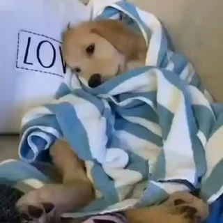 😴