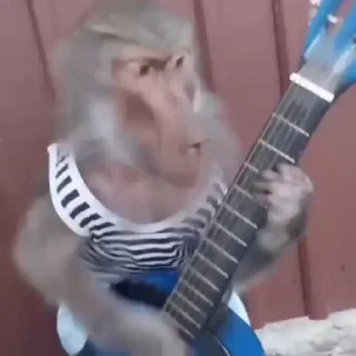 🎸