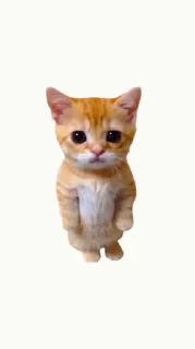 🤩