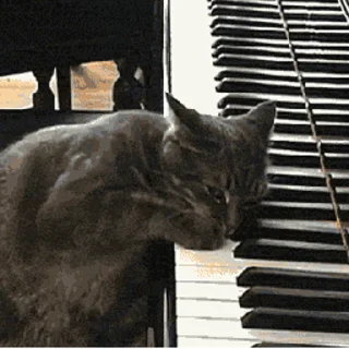 🎹