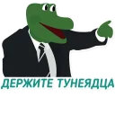 🐊