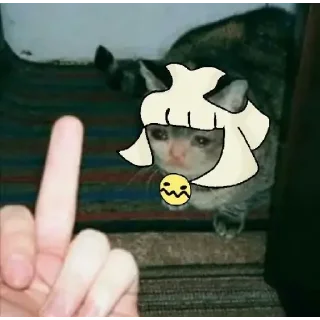 🖕