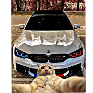 🚗