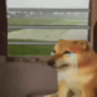 😭