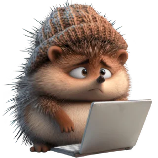 💻