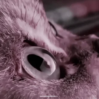🍙