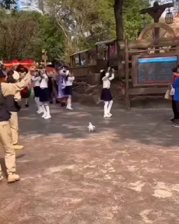 💃
