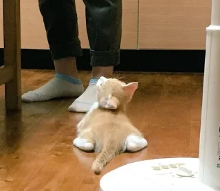 ❣️