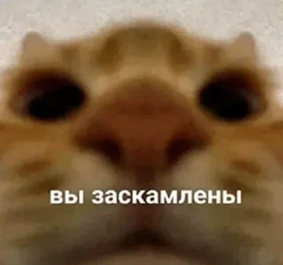 🤥