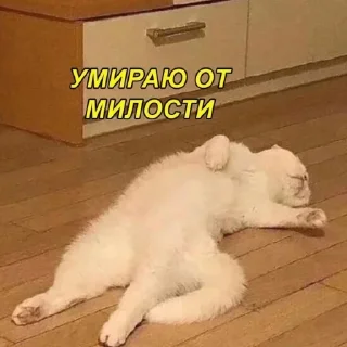 😍