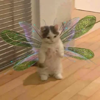 🧚‍♀️