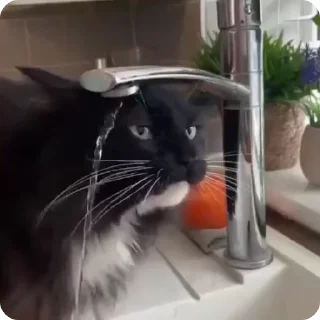 🥤