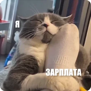🤗