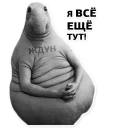 Ждун, спун и другие