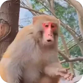 😟