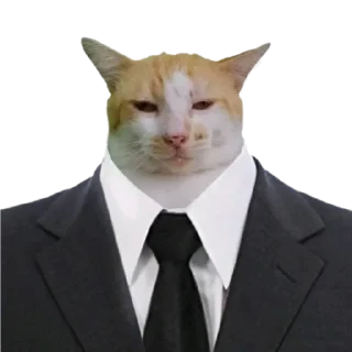 👨‍⚖️