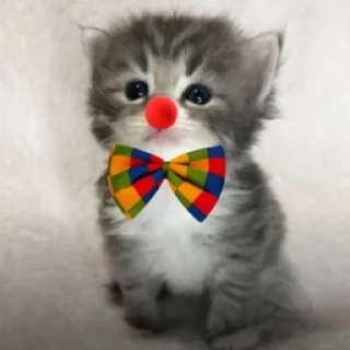 🤡