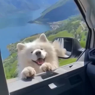 😁