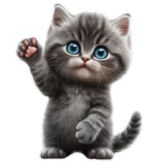 👋