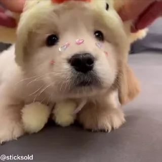 ❤️