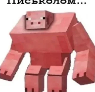🐷