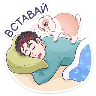 🐈