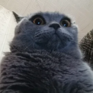 😃