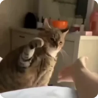 🤝