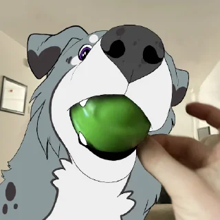 🎾