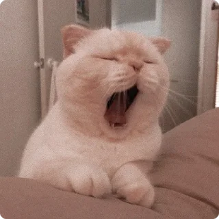🥱