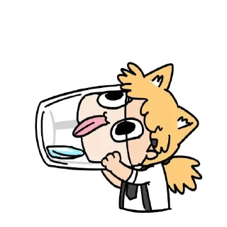 😽