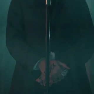 🎙