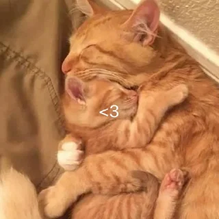 ❤️