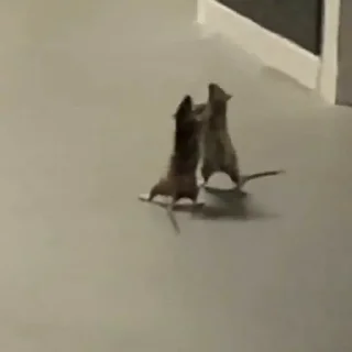 👊