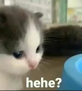 ❓
