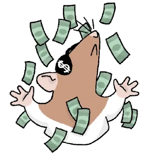 💰