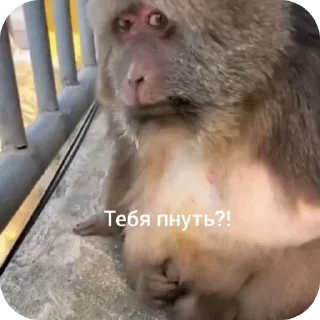 🤨
