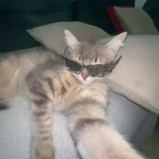 😎